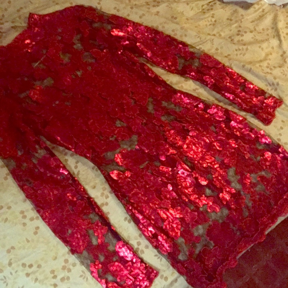 Sheer sequin Dress